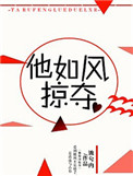 他如风掠夺番外百度云